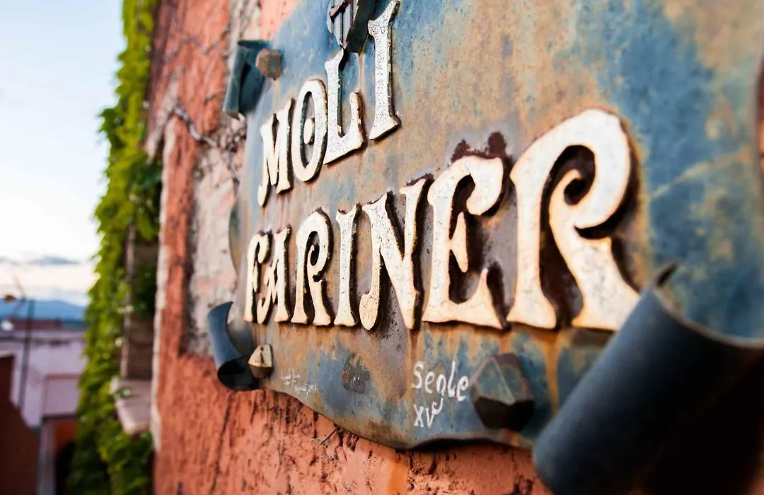 Moli Fariner-1